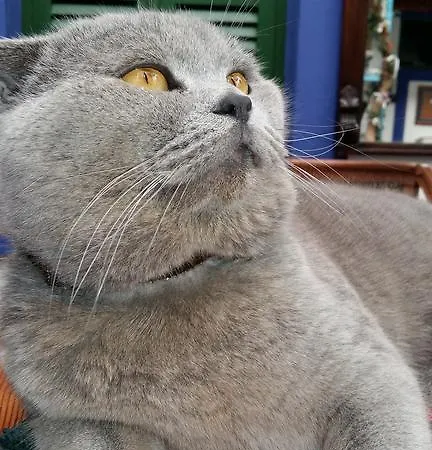 Cemil Ipekci Privat bolig