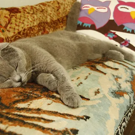 Pansiyon Cemil Ipekci