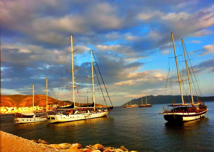 Cemil Ipekci Bodrum