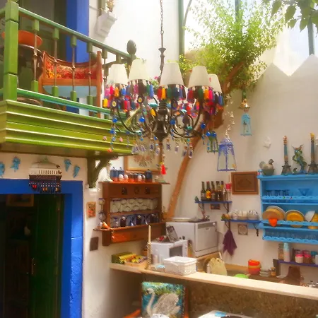 Проживание в семье Cemil Ipekci