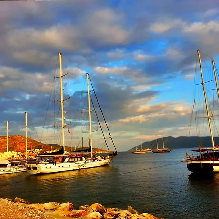 Cemil Ipekci Bodrum