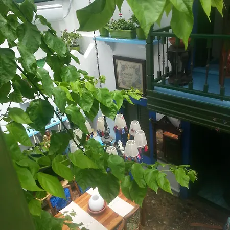 Cemil Ipekci Проживание в семье Бодрум