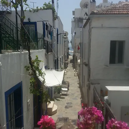 Cemil Ipekci Homestay