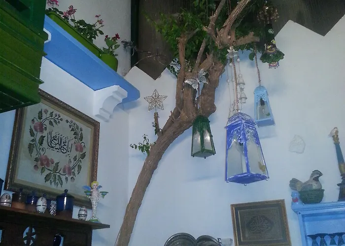 Cemil Ipekci Bodrum