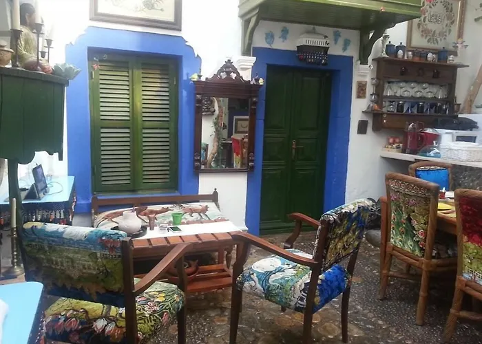 홈스테이 Cemil Ipekci