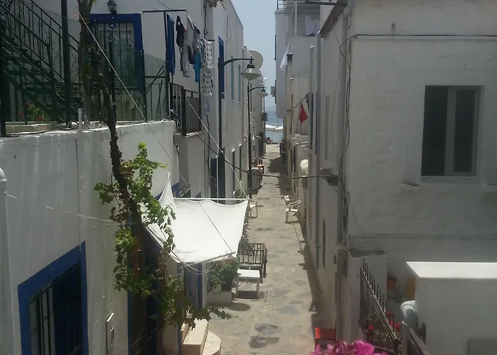 Cemil Ipekci 홈스테이