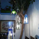 Homestay Cemil Ipekci Bodrum