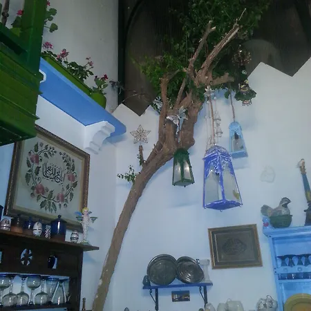 Cemil Ipekci Bodrum